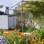 Ivy Apartmán *