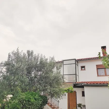 Apartament Ivy *