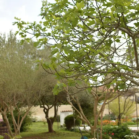 Apartmán Ivy *