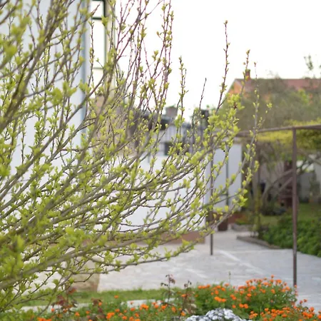 Apartament Ivy