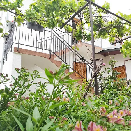 Ivy Apartment